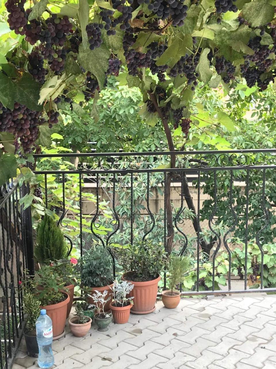 Nino'S Guest House Tiflis Exterior foto